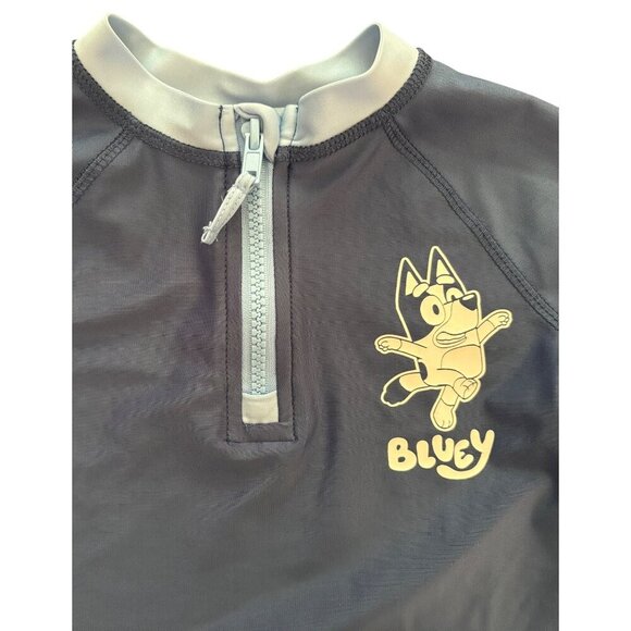 Bluey Boys Bathing Suit Swimwear 2 Piece Long Sleeve Rash Gaurd + Shorts Size 4T - Picture 4 of 10
